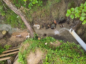 Une échelle rudimentaire en bois pour descendre dans un petit coin tranquille se faire arroser d'eau chaude qui sort par une canalisation.