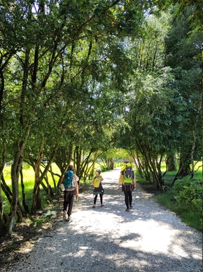 La famille marche dans les allées du parc botanique